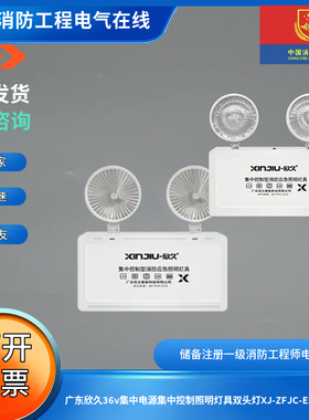 广东欣久36v集中电源集中控制照明灯具双头灯XJ-ZFJC-E5W-04/03
