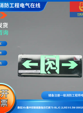 鼎信36v集中控制疏散指示灯具TS-BLJC-2LREⅡ0.5W-D001R双面双向