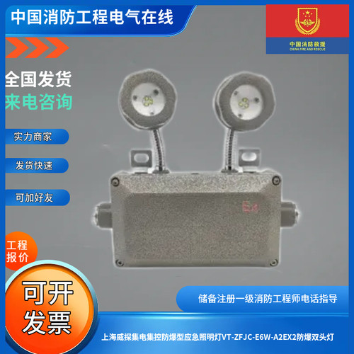 上海威探集电集控防爆型应急照明灯VT-ZFJC-E6W-A2EX2防爆双头灯