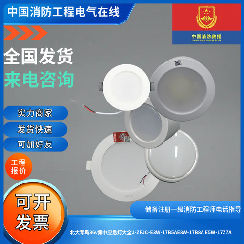 青鸟原厂正品36v集电集控应急灯大全J-ZFJC-E3W/5W-1726A/17Z7A