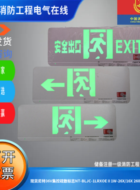 现货尼特36V集控疏散标志NT-BLJC-1LRXOEⅡ1W-26X/16X 2601C系列
