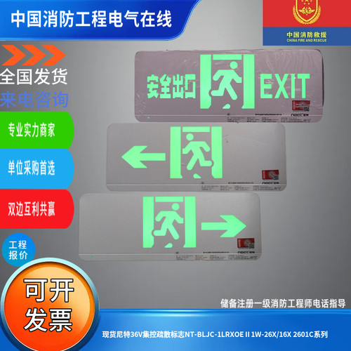 现货尼特36V集控疏散标志NT-BLJC-1LRXOEⅡ1W-26X/16X 2601C系列