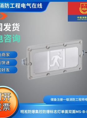 明淞防爆集控防爆标志灯单面双面MS-B-FB壁挂明淞防爆集控标志灯