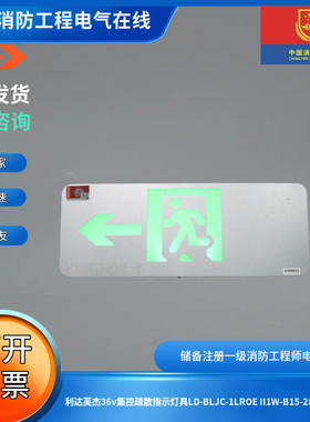 利达英杰36v集控疏散指示灯具LD-BLJC-1LROE II1W-B15-2单面向左