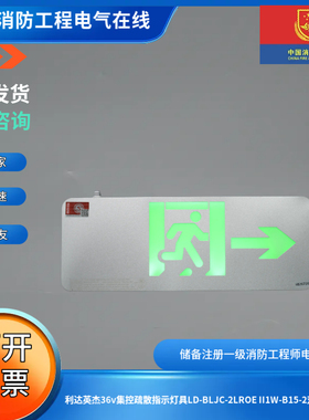利达英杰36v集控疏散指示灯具LD-BLJC-2LROE II1W-B15-2双面单向