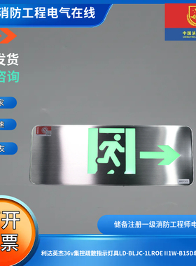 利达英杰36v集控疏散指示灯具LD-BLJC-1LROE II1W-B15D单面右向