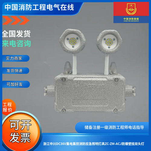 浙江中川DC36V集电集控消防应急照明灯具ZC-ZM-ACJ防爆壁挂双头灯