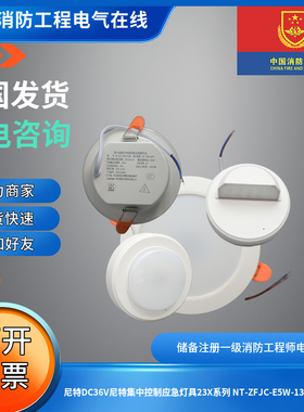 现货尼特DC36V尼特集中控制应急照明灯13X系列NT-ZFJC-E3W-1315A