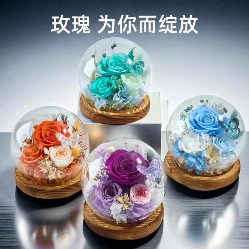 新款永生花玫瑰花束摆件玻璃罩满天星情人节礼物高级感永生花礼盒