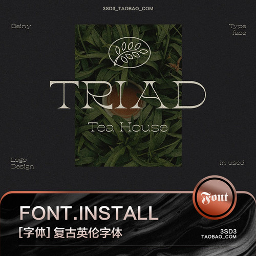 3SD3高级英伦复古时尚潮流精美杂志排版艺术风PSAI英文字体安装包