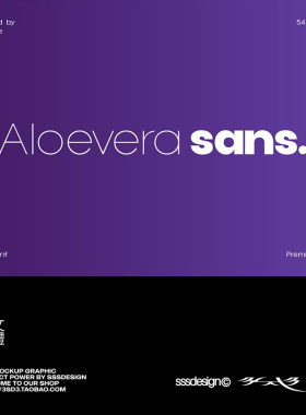 高级国外正式专业多规格多字重排版标题剪辑非衬线LOGO英文字体包