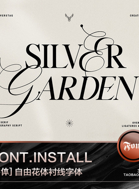 3SD3复古高级自由欧式英伦花体衬线组合PS英文字体安装包设计素材