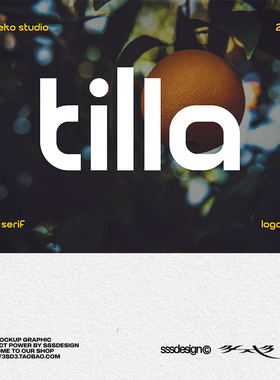 3SD3极简好看简约小众文艺LOGO艺术标题PROCREATE英文PSMAC字体包