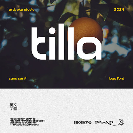 3SD3极简好看简约小众文艺LOGO艺术标题PROCREATE英文PSMAC字体包