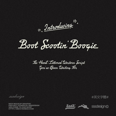 3SD3美式复古艺术西部风格手写连笔PROCREATE英文PSMAC字体包素材