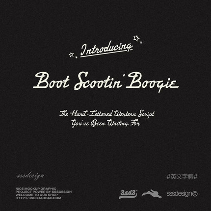 3SD3美式复古艺术西部风格手写连笔PROCREATE英文PSMAC字体包素材