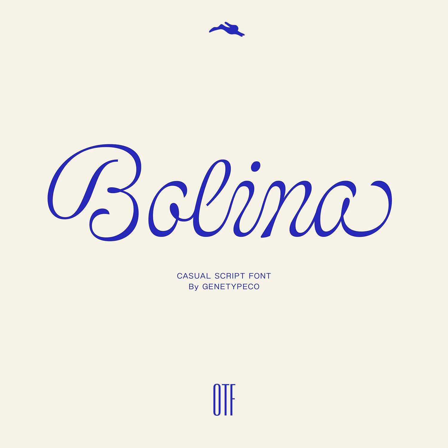 3SD3 优雅复古高级连笔花体杂志LOGO标题PS英文MAC字体安装包素材