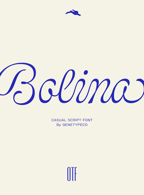 3SD3 优雅复古高级连笔花体杂志LOGO标题PS英文MAC字体安装包素材