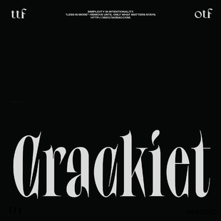 3SD3 高级复古时尚街头品牌VI精致LOGO衬线经典PROCREATE英文字体