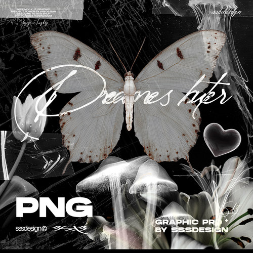 SSSDESIGN 抽象空灵半透明艺术梦境梦核植物蝴蝶花卉PNG免扣素材