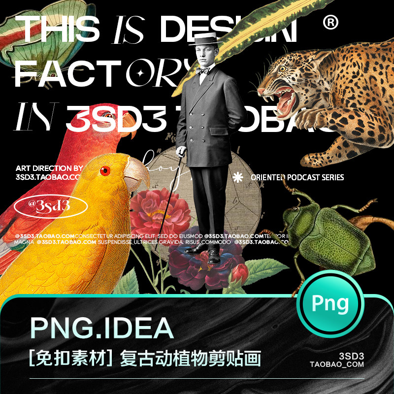 3SD3动物植物花卉鸟类蛇类海洋生物蘑菇昆虫类蝴蝶插画剪贴画素材