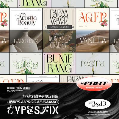 3SD3 高级罗马古典衬线逆反差英伦LOGO复古PSPROCREATE字体包合集