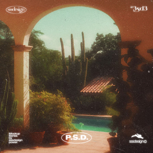 3SD3 复古做旧肌理噪点Y2K阳光辉光人物风景照片效果样机设计素材