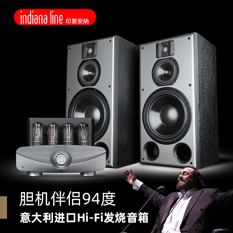 意大利DJ310 发烧级hifi书架音箱进口10寸三分频无源音响胆机套装