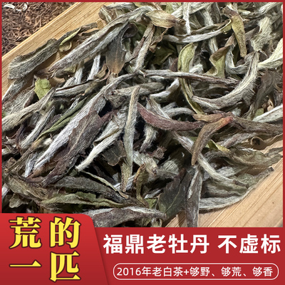 福鼎老白茶荒2016年高牡野墅茶