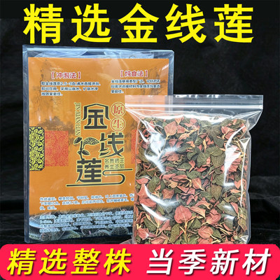 整株金线莲干品500g克福建南靖深山2年开花林下原生态种植养生茶