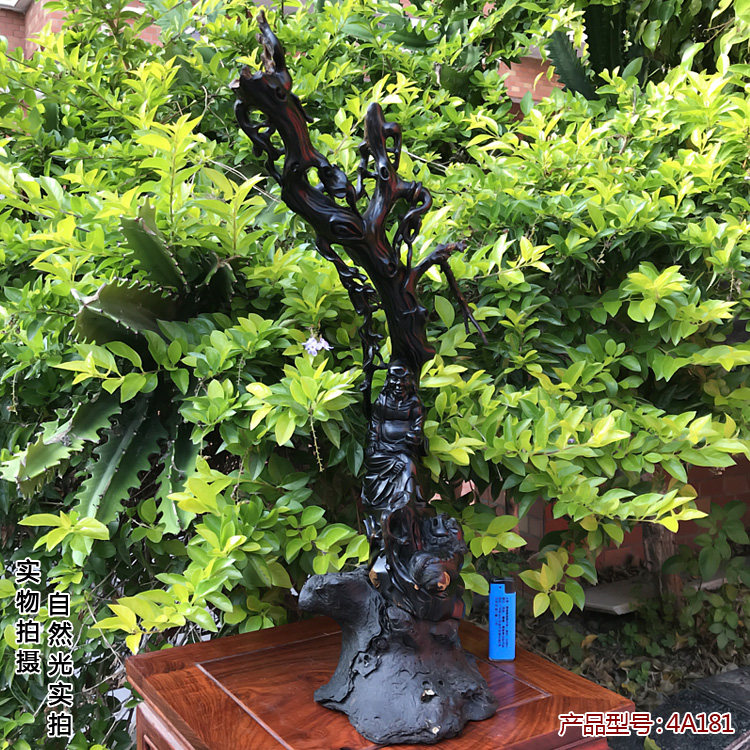 柳工坊黑珊瑚海柳文玩摆设天然摆件平安收藏级金刚子笑狮罗汉包邮