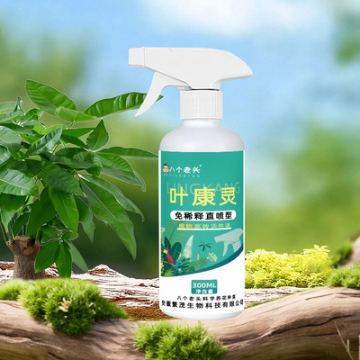 叶康灵园艺双效灵通用免稀释营养液非多菌灵园艺抗病预防
