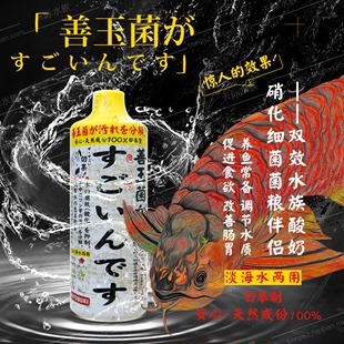 日本进口KOTOBUKI善玉菌三效水族酸奶硝化细菌菌粮龙鱼魟鱼酸奶