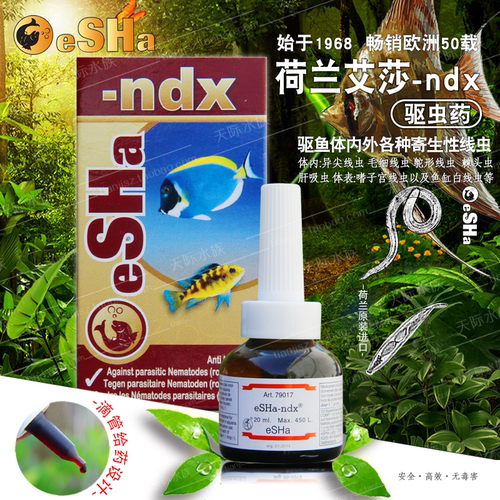 荷兰艾莎鱼药ndx观赏鱼专用