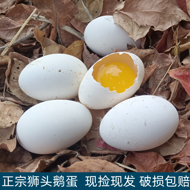 狮头鹅蛋新鲜现捡单枚160g-200g孕妇去胎毒用农家土鹅蛋12枚装