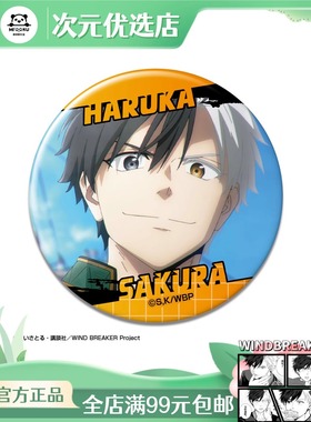 9.8 现货 WINDBREAK 防风铃 TV场面写名字吧唧徽章