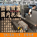 顺丰宠物托运全国服务顺风国际宠物出国回国人宠同行随机专车高铁