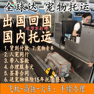 顺丰宠物托运全国服务顺风国际宠物出国回国人宠同行随机专车高铁