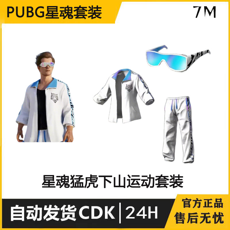 PUBG绝地求生吃鸡星魂猛虎下山套装CDK星魂男套装兑换码饰品图片