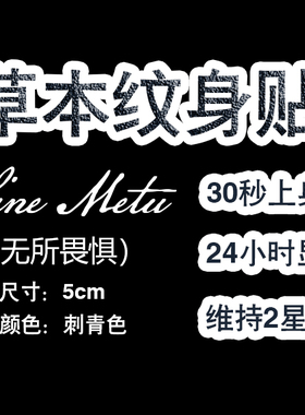 拉丁文 Sine Metu无所畏惧个性英文字母手臂纹身贴草本持久刺青贴