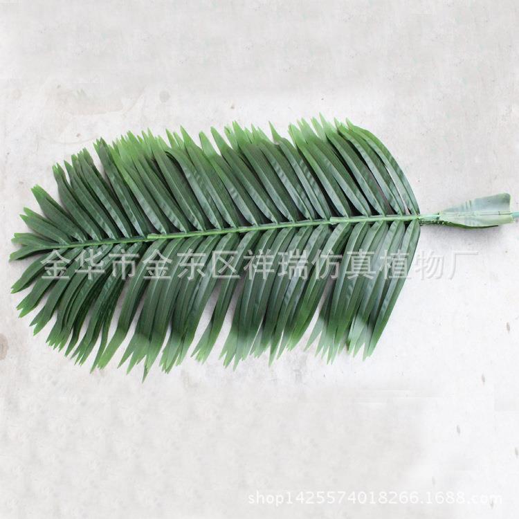 077 078 仿真椰热馆果树棕榈叶科带绿植物园工程假博物椰子叶葵树