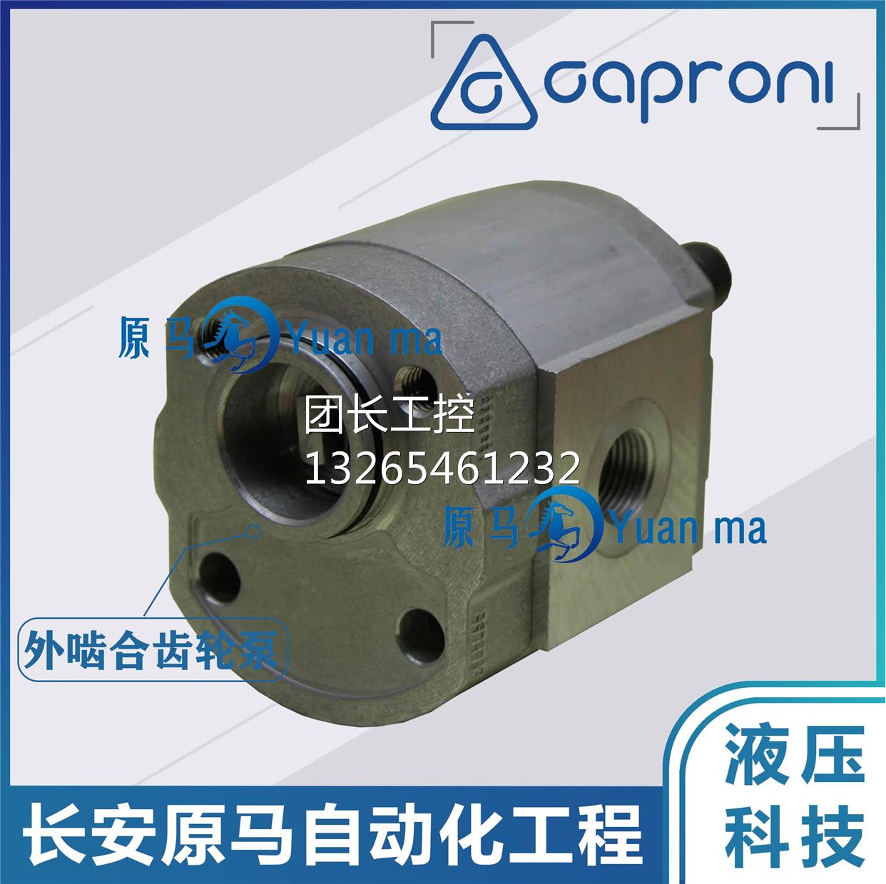 caproni动力系统齿轮泵 10A4.2X302B 10A3.75X488B 10A2.65X488N