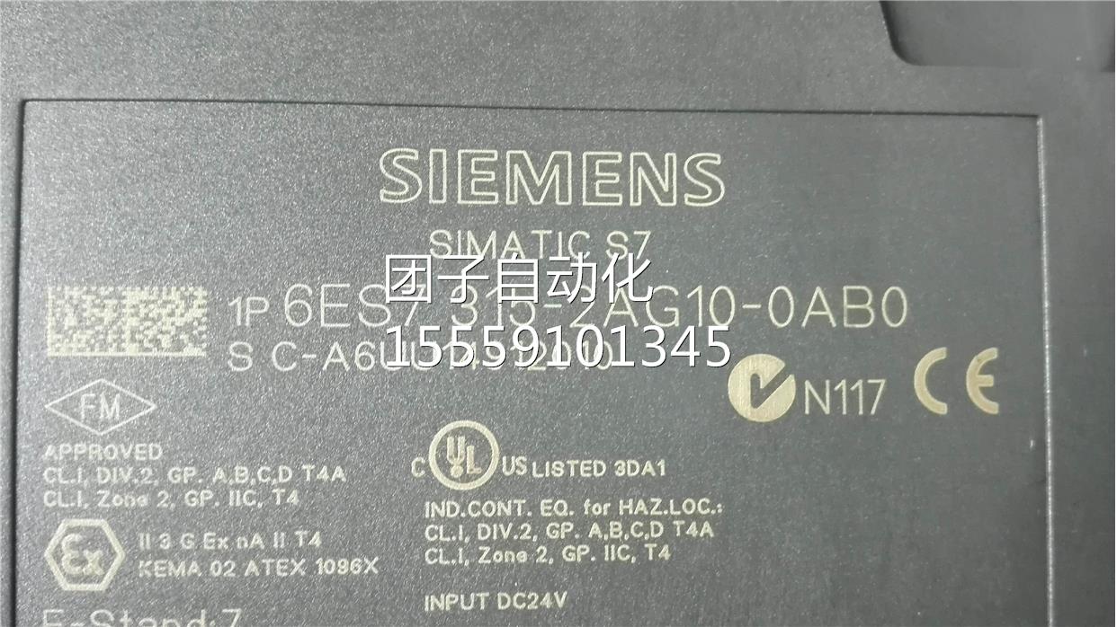 6ES7315-2AG10-0AB0P