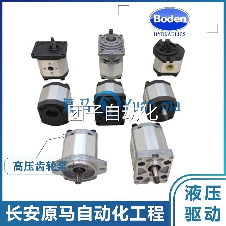 Boden齿轮油泵 BAP2A0D32C0L1 D8D10D12D14D16D18D20D22D25D28D30