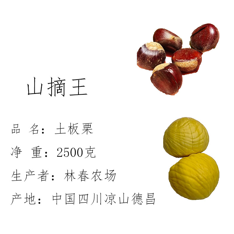 山摘王板栗野生栗子四川凉山德昌县老品种板栗土板栗五斤净重包邮