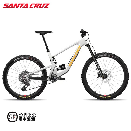 美国SantaCruzBronson
