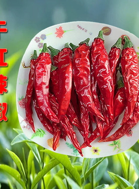 2025年新三樱椒干红辣椒朝天椒精品500g辣椒粉火锅底料调味品河南