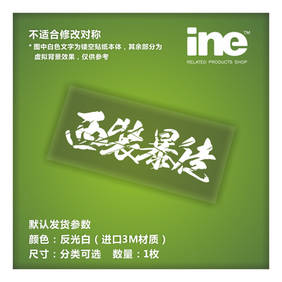 及时行乐电动划痕车身贴纸