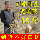 甘肃岷县正宗野生黄芪片特级中药材正品 官方旗舰店加党参当归泡水