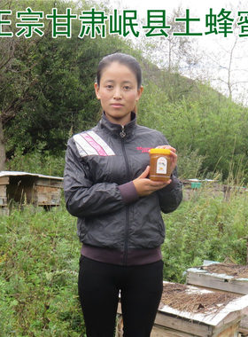 甘肃岷县正宗野生土蜂蜜500克包邮